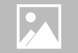 最新限定招募技能爆料,全新战斗体验等你来战！